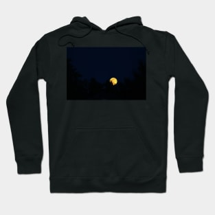 Blue Moon Rising 2016 Hoodie